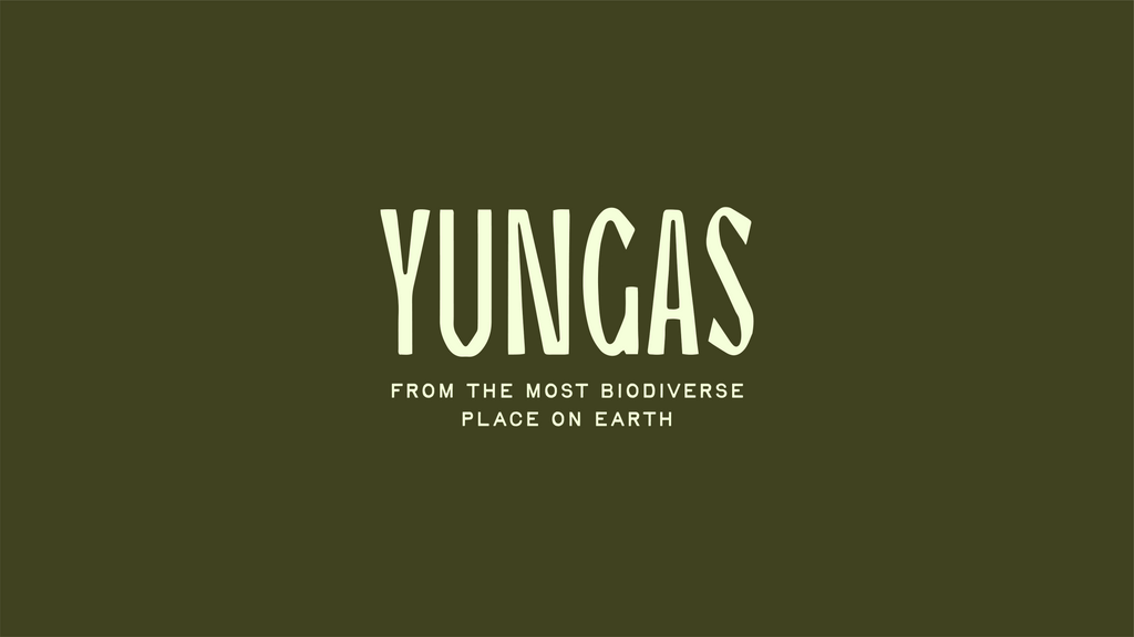 Yungas Blend - 12oz
