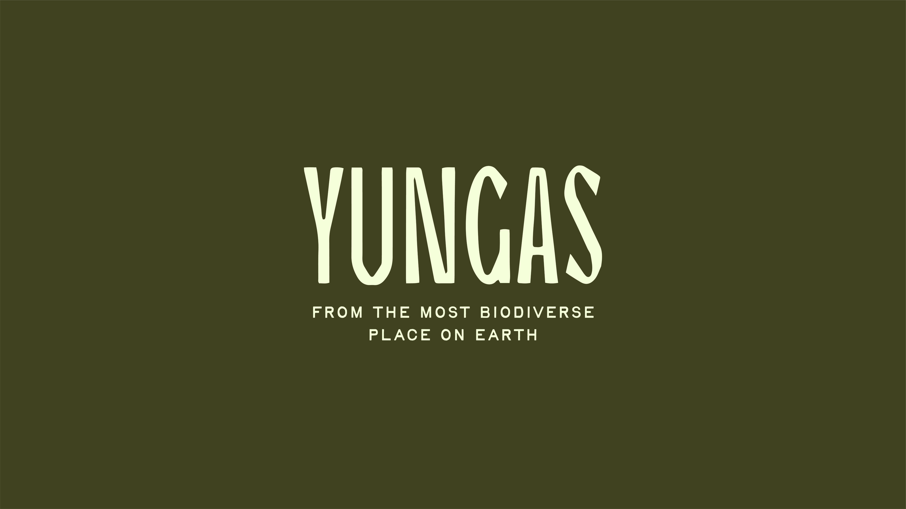 Yungas Blend - 12oz